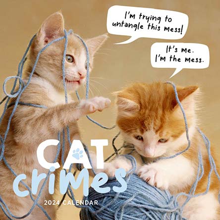 2024 Cat Crimes Calendar