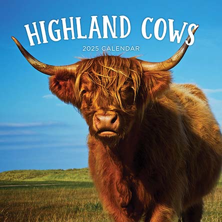 Highland cows 2025 Calendar