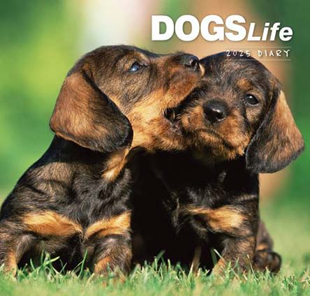 Dogs Life 2025 Diary