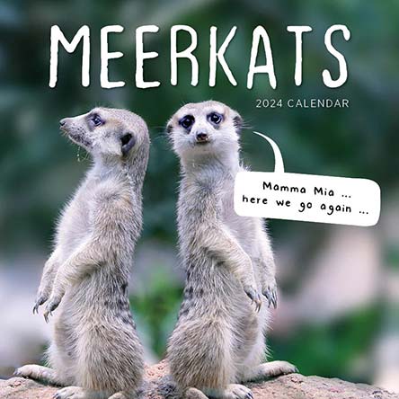 2024 Meerkats Calendar