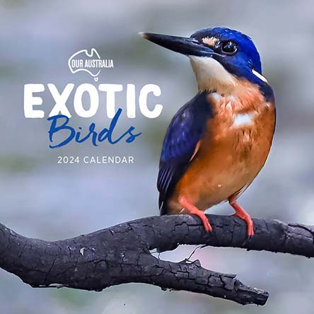 2024 Our Australia Exotic Birds Calendar