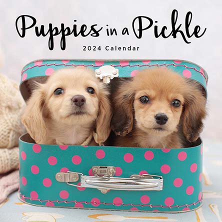 2024 Puppies in a Pickle Calendar