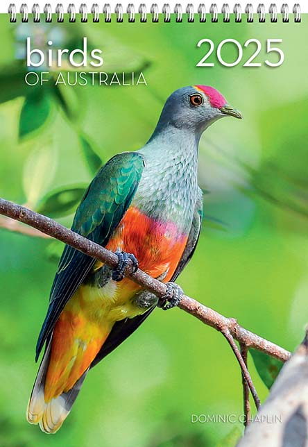 2025 Birds of Australia Large Wall Calendar